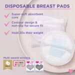 Lansinoh Nursing Pads 100 Count - Diaper Yard Gh